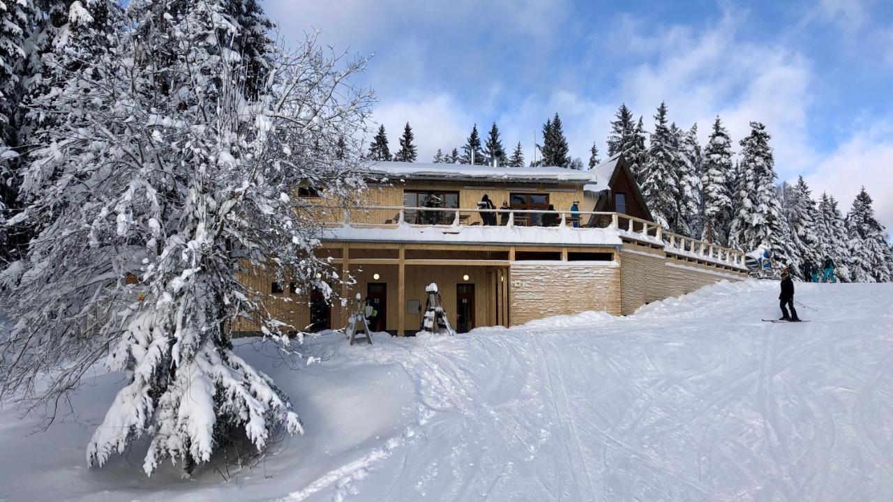 Apartmany Riviera 511 Lipno nad Vltavou Exteriér fotografie